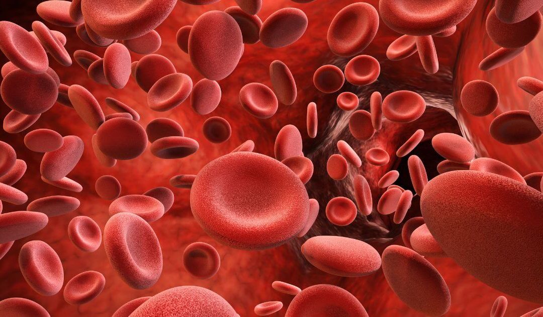Terapia de reposição hormonal causa trombose? Entenda os riscos reais